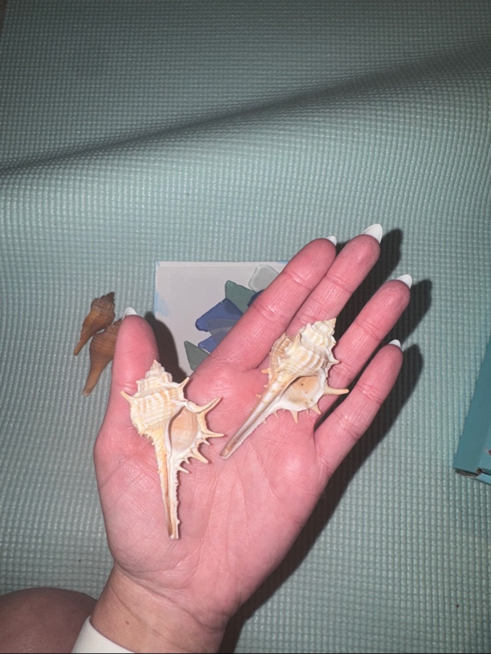 Beach Shells & Sea Glass - Picture 3 of 4